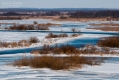 027_Biebrza - marzec 2013